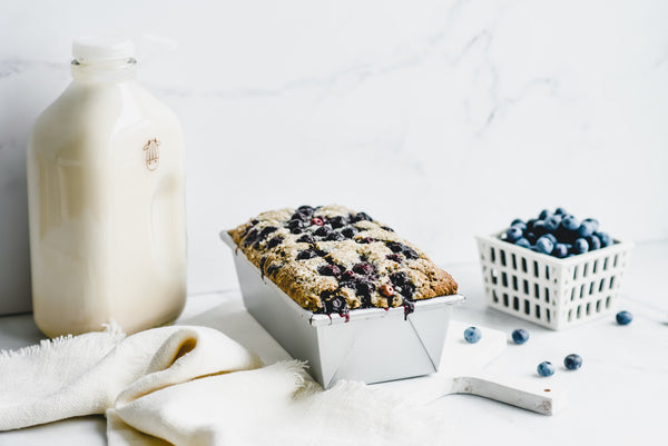 Blueberry Oat Loaf