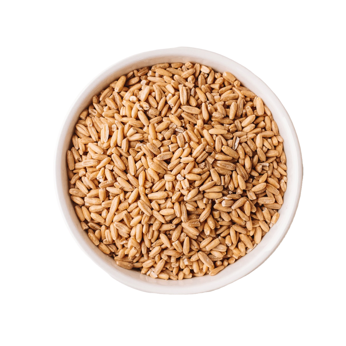 Case of Organic Whole Grain Oats - 30 lbs