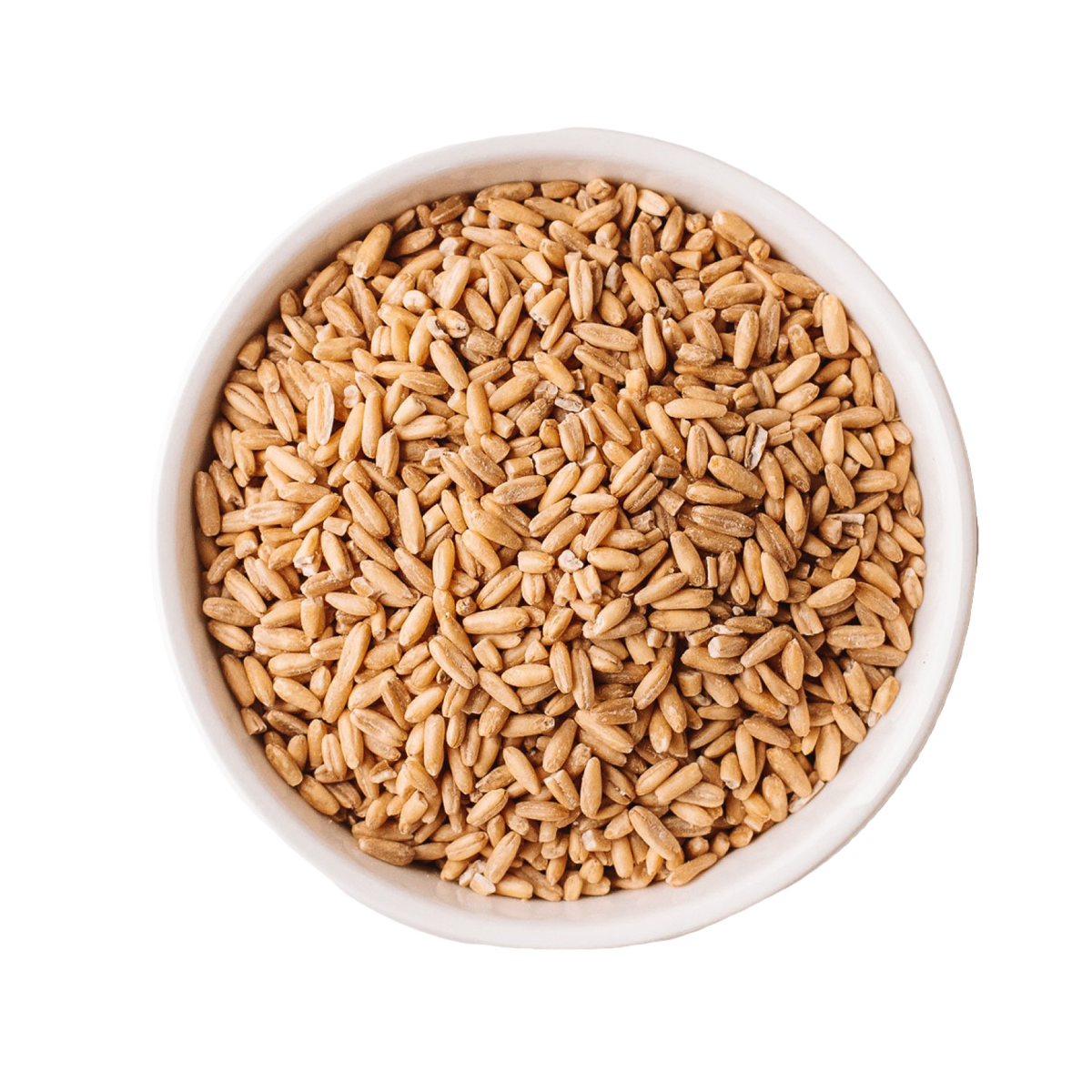 Organic Whole Grain Oats (3lbs)