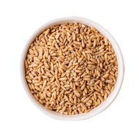 Organic Whole Grain Oats (3lbs)