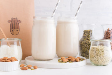 Unlock the Power of Plant Protein: Crafting Protein-Rich Milk for National Protein Day