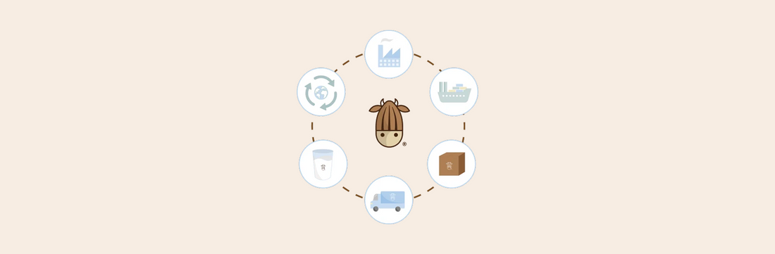 Reducing Waste: How Does Your At-Home Routine Rank?
