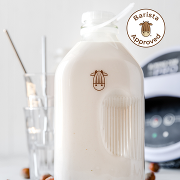 hazelnut milk made with the almond cow pro in an almond cow jug