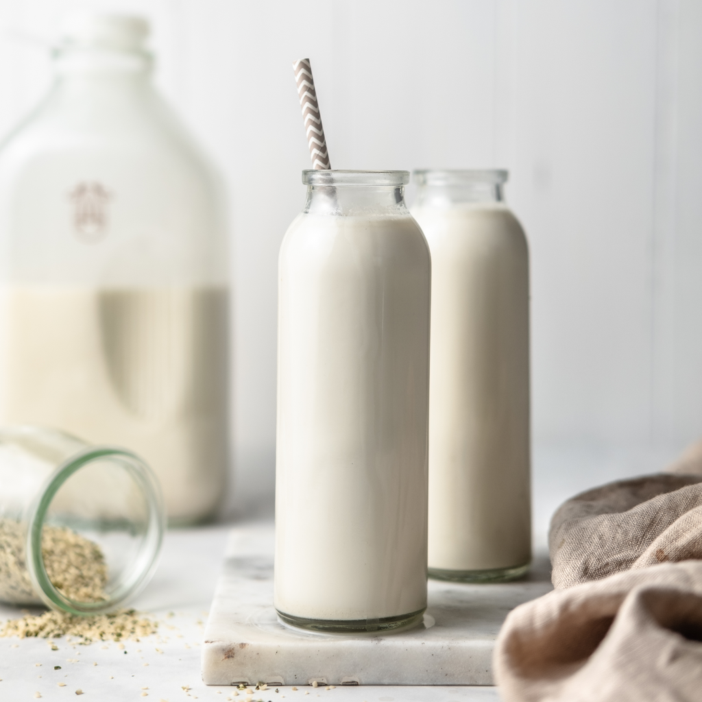 homemade, plant-based hemp seed milk in two glasses