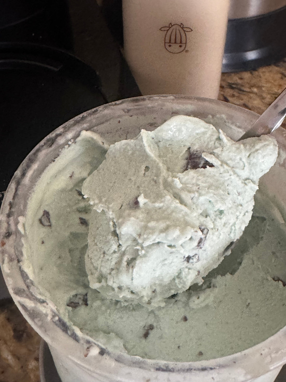 Chocolate Chip Mint Ice Cream