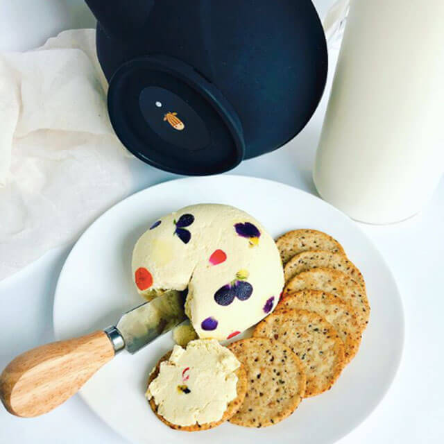 homemade vegan cheese on a plate with crackers