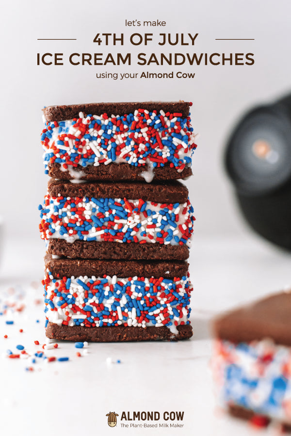 July 4th Ice Cream Sandwiches