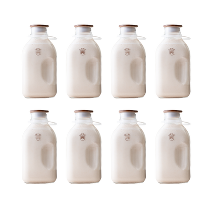 Glass Jug (8 Pack)