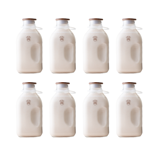 Glass Jug (8 Pack)