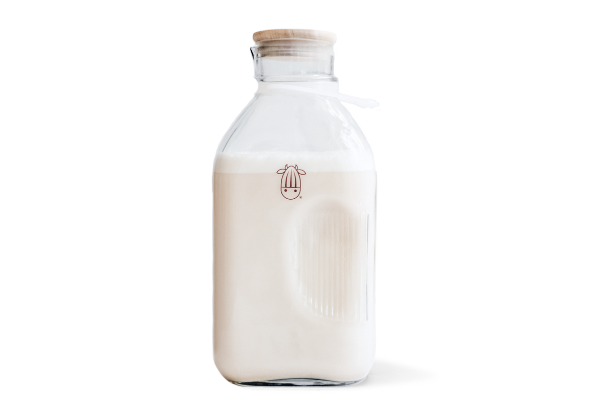 Milk Jug - Almond Cow