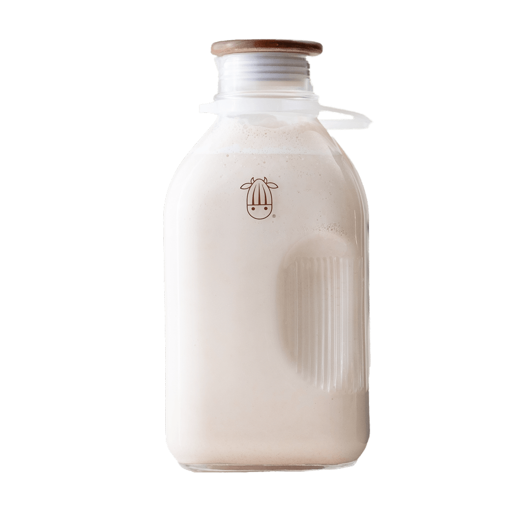 Milk-in-a-Minute Bundle: Everything You Need to Make Fresh Plant-Based Milk in Minutes