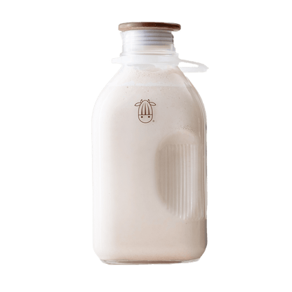 Milk-in-a-Minute Bundle: Everything You Need to Make Fresh Plant-Based Milk in Minutes