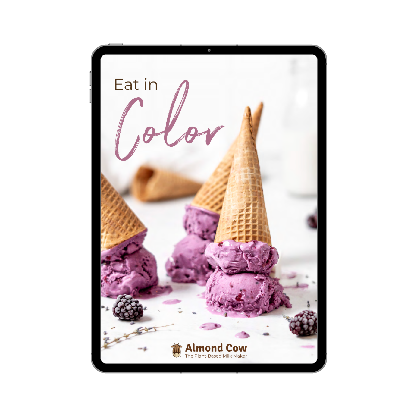 Eat in Color Recipe eBook