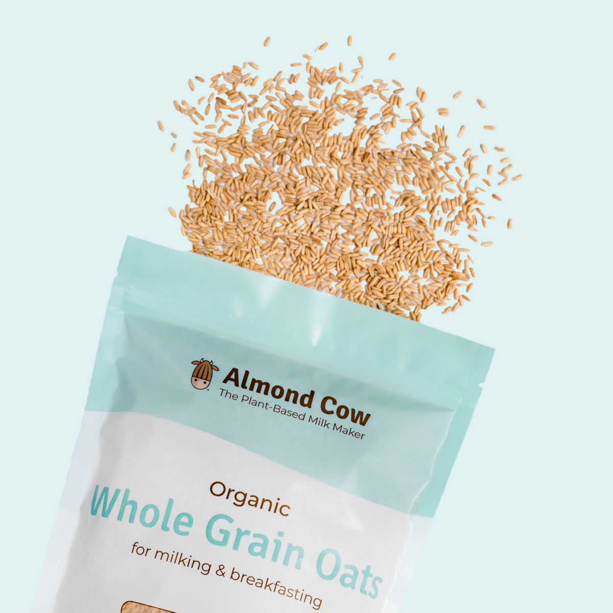 Whole grain oats