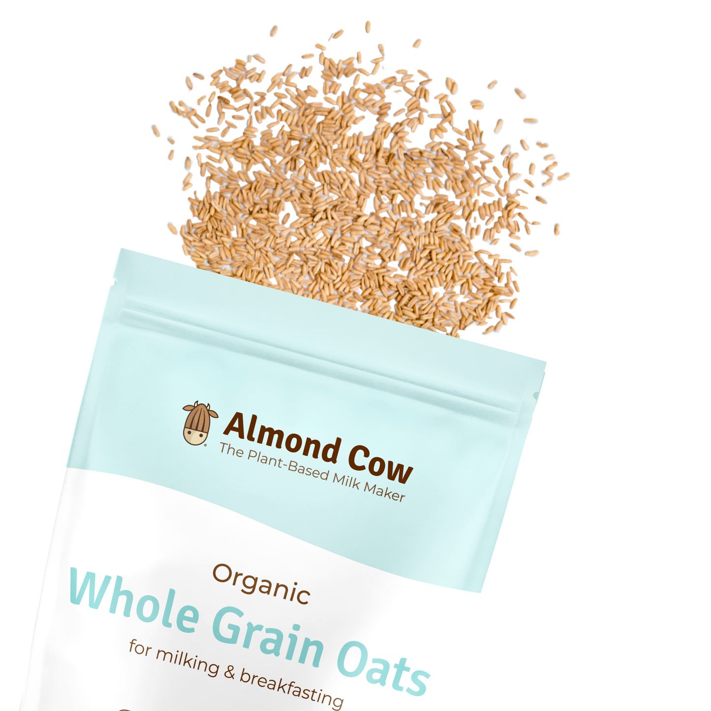 Organic Whole Grain Oats (3lbs)